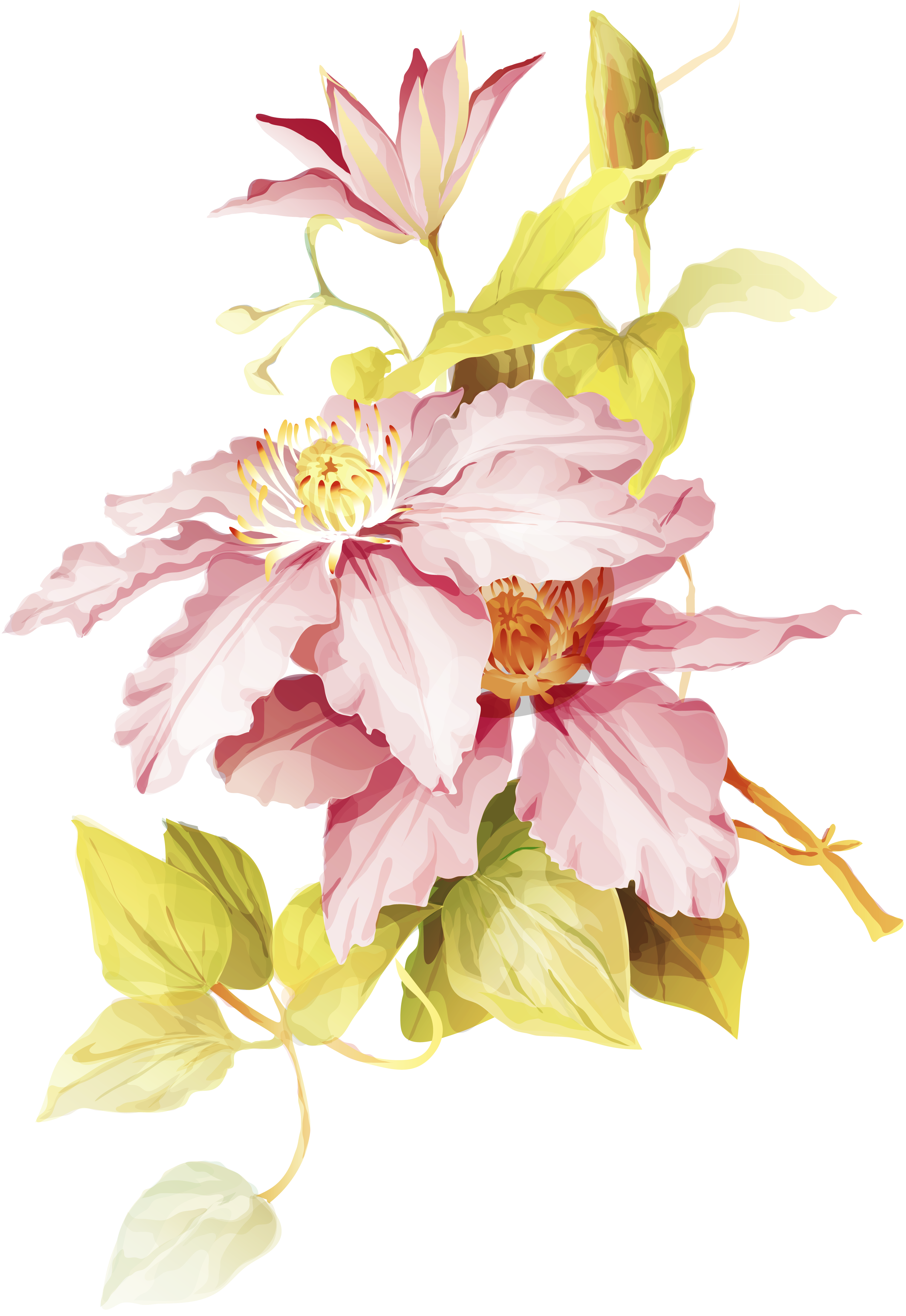 alshiaclubs-4b5b39787d.png